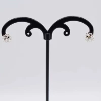 ORECCHINI NEVE STRASS