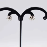 ORECCHINI NEVE STRASS