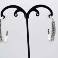 ORECCHINI SEMICERCHIO ARGENTO STRASS