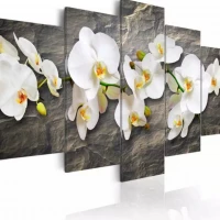 FIORE 43
