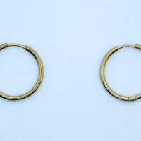ORECCHINI ORO ANELLO 1